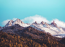 川超成都队主教练：崇尚进攻，目标全胜 | 阿刁喜欢看球