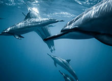 九游官网-曹赟定：其实于汉超也不是斯帅的牌，但于汉超争气&amp;amp;总能救他